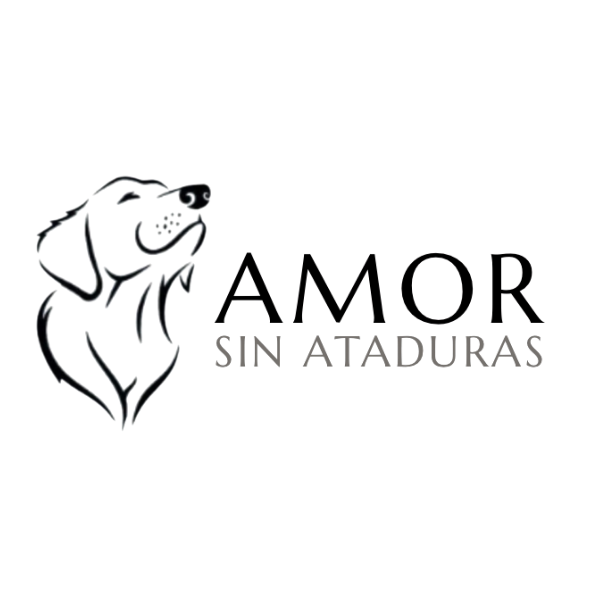 Amor Sin Ataduras