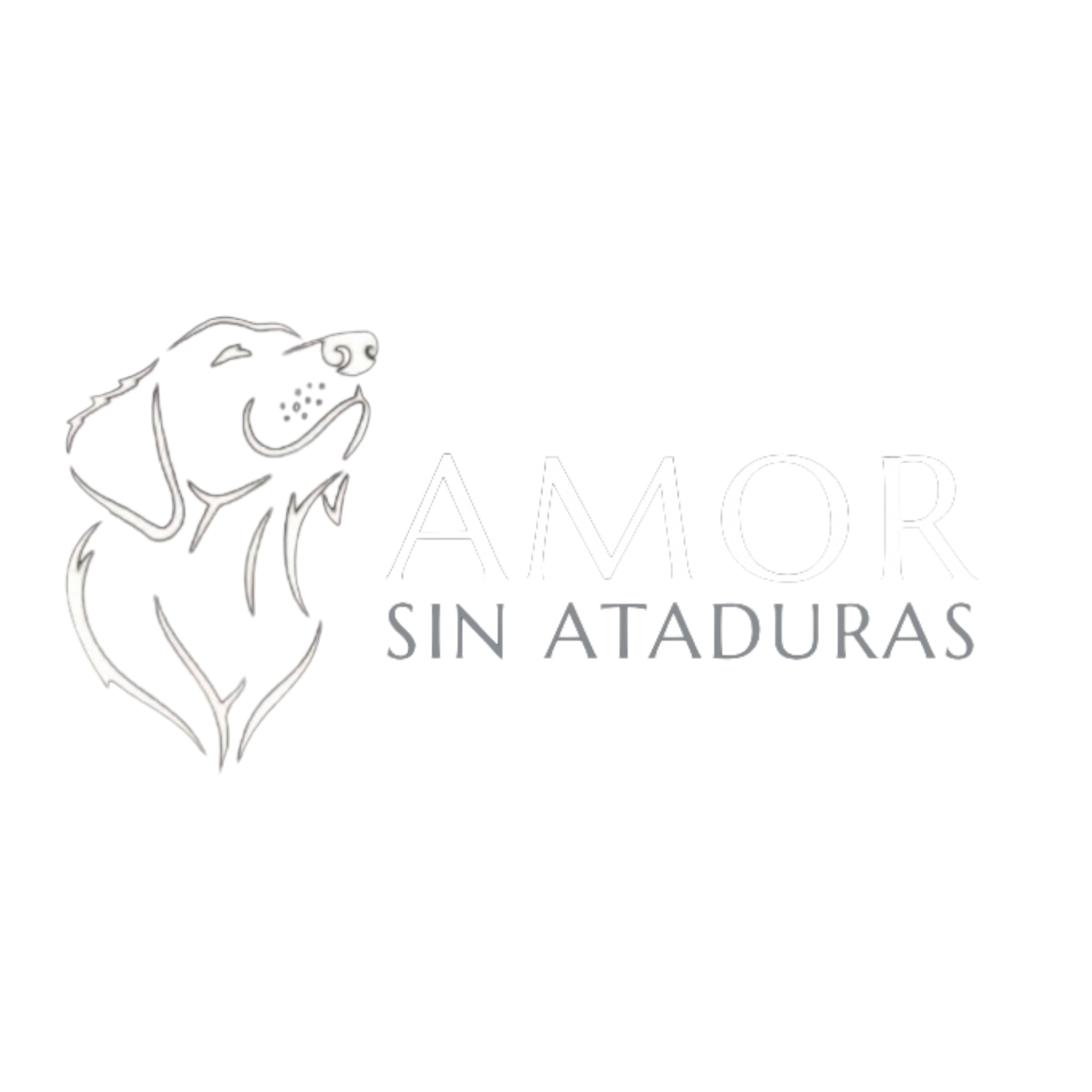 Amor Sin Ataduras