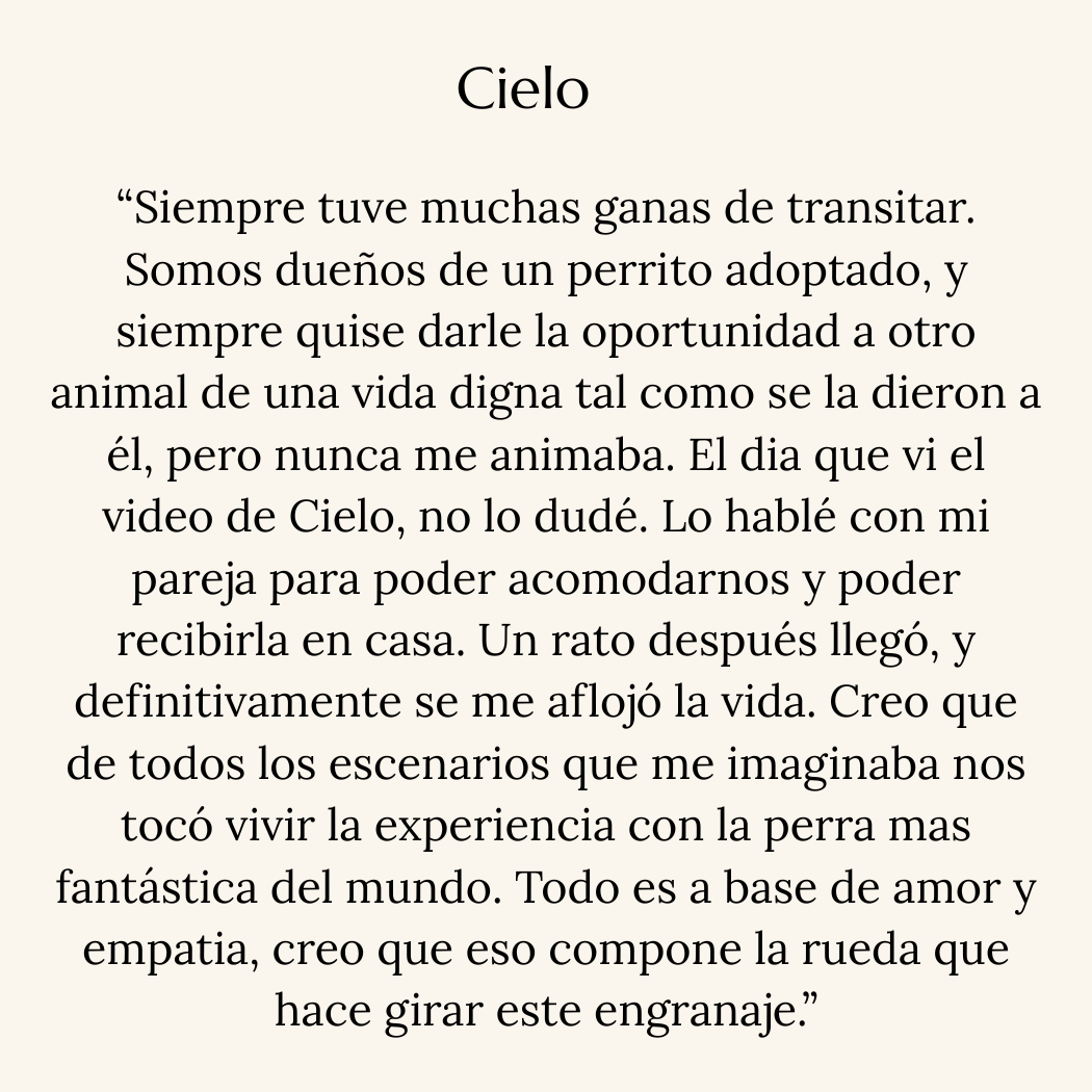 Cielo