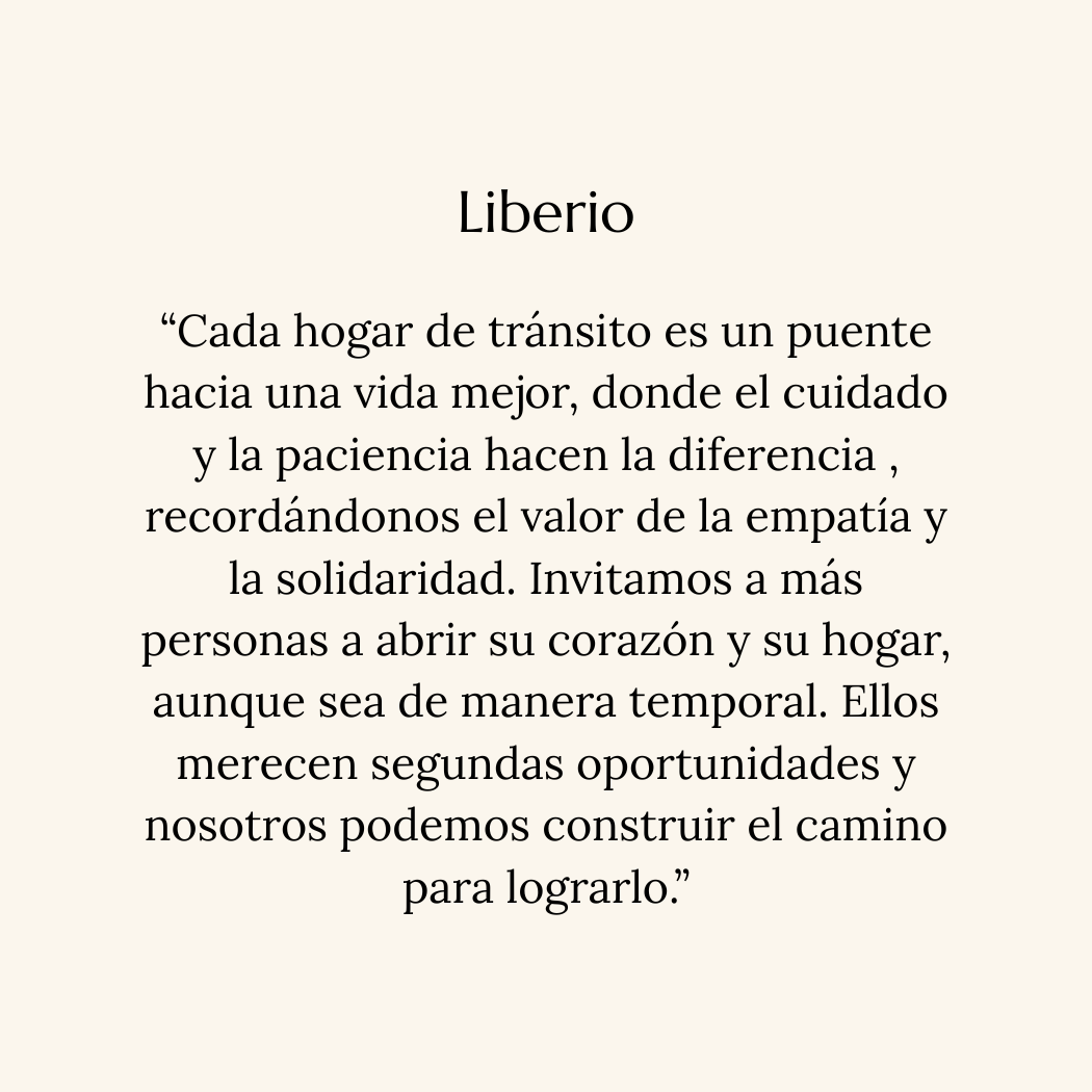 Liberio